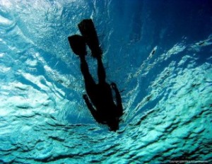 Snorkelen Bonaire